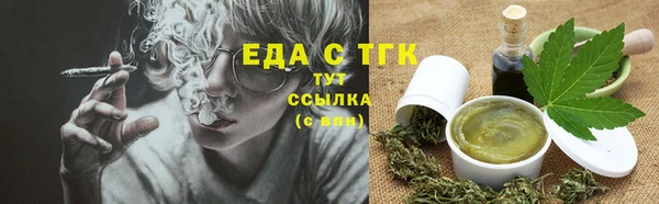 spice Богородицк