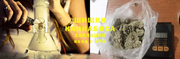 spice Богородицк