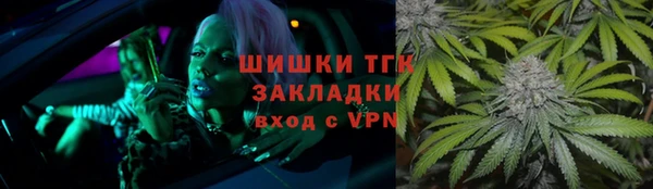 spice Богородицк