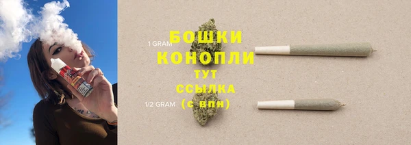 spice Богородицк