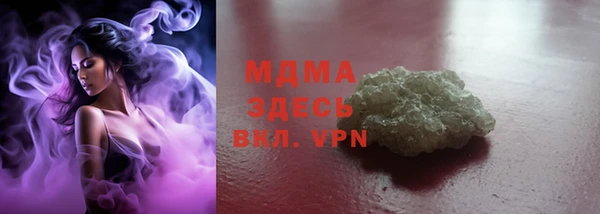 spice Богородицк
