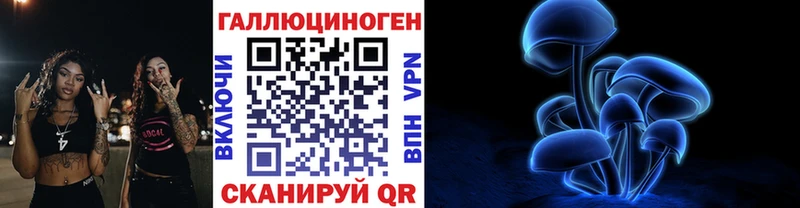 что такое Сургут Галлюциногенные грибы GOLDEN TEACHER